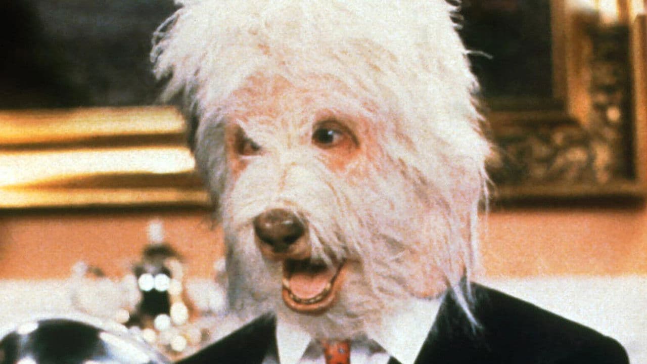 Backdrop – Zottis tolle Abenteuer