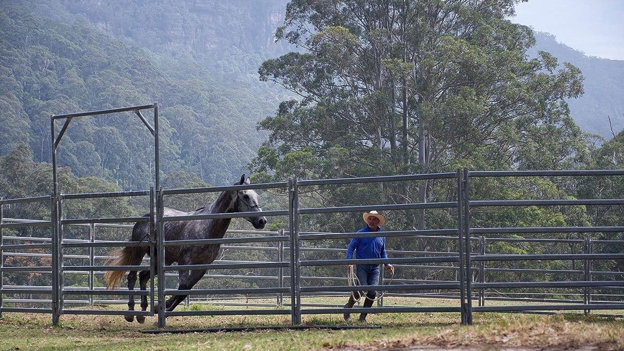 Backdrop – The Healing