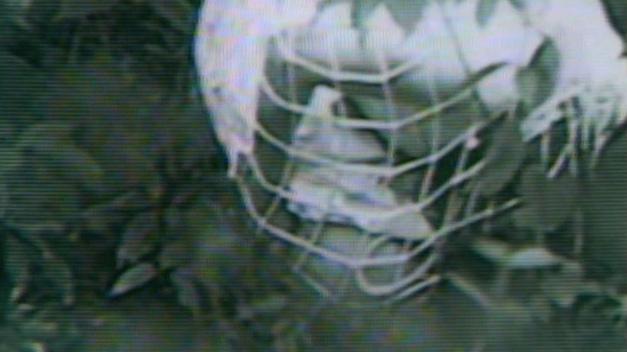 Backdrop – Guinea Pig 1: Devil's Experiment