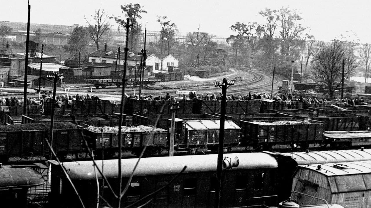 Backdrop – Vernichtung im Laufschritt – Todesmärsche 1944/​45