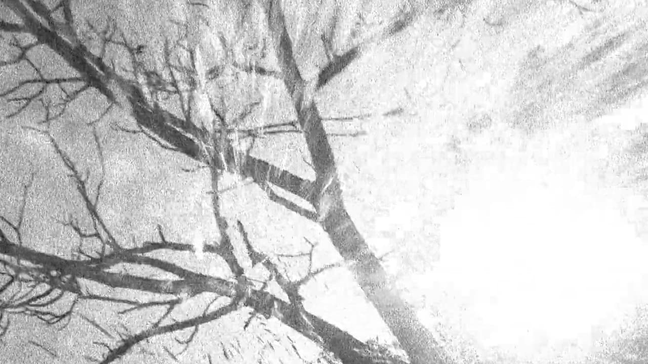 Backdrop – Spectral Ascension