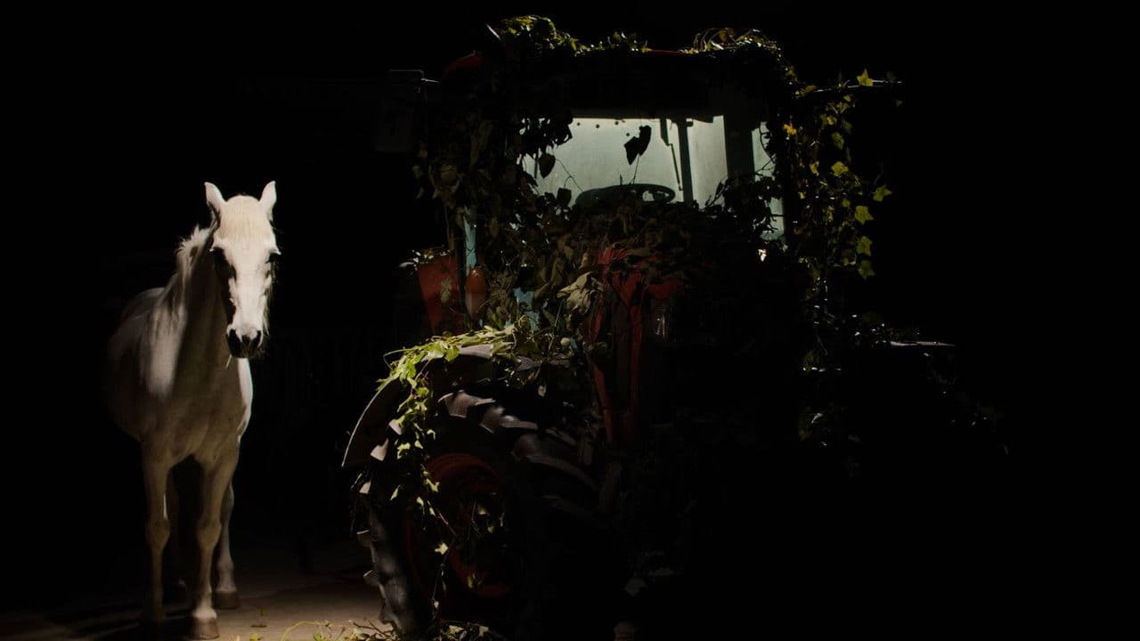 Backdrop – Un perro ladra detrás del depósito