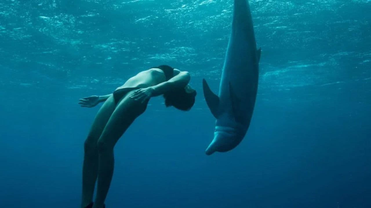 Backdrop – The Journey: Mère Océan