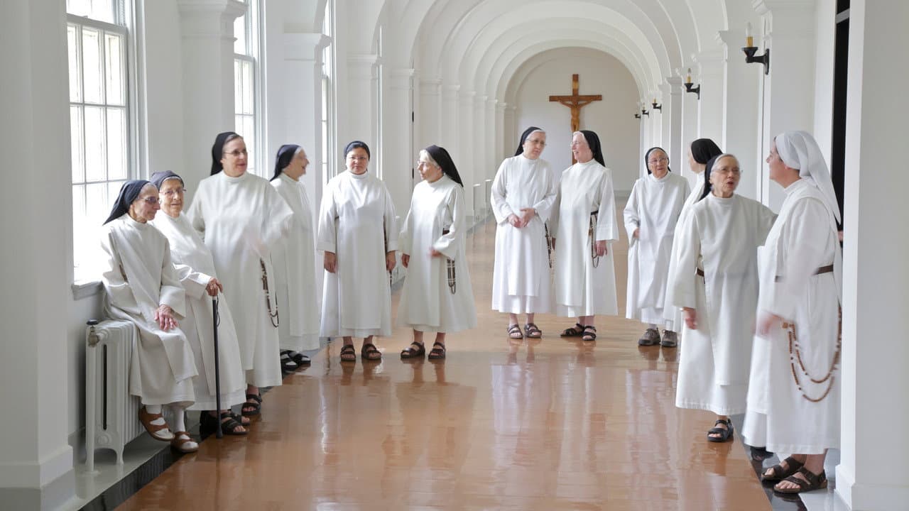 Backdrop – Amoureuses