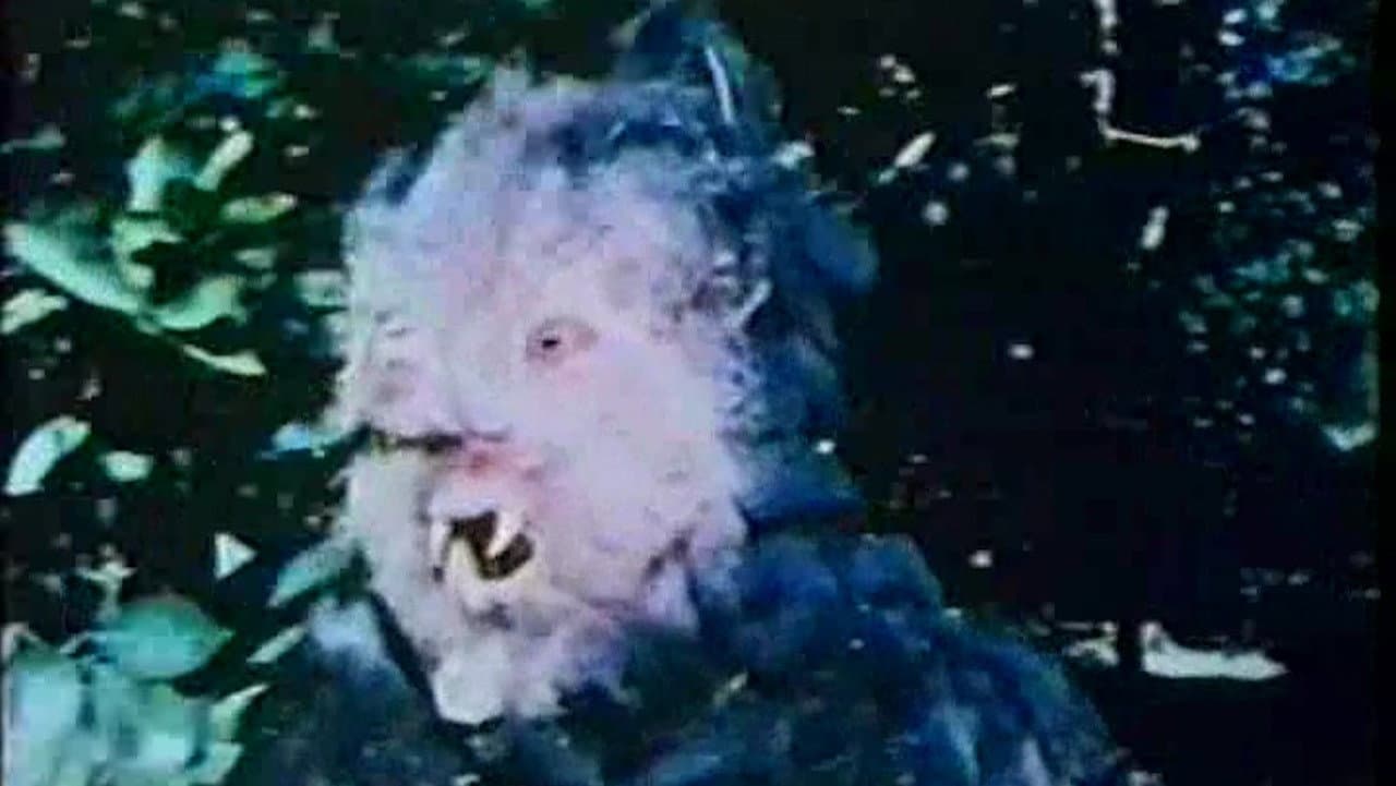 Backdrop – Curse of Bigfoot