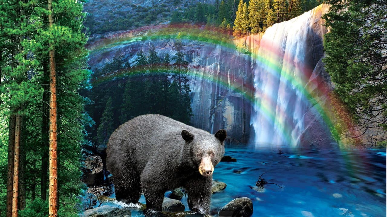 Backdrop – Yosemite: America's Treasure
