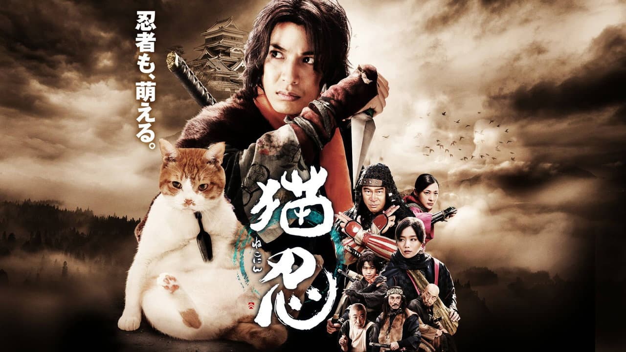 Backdrop – 猫忍