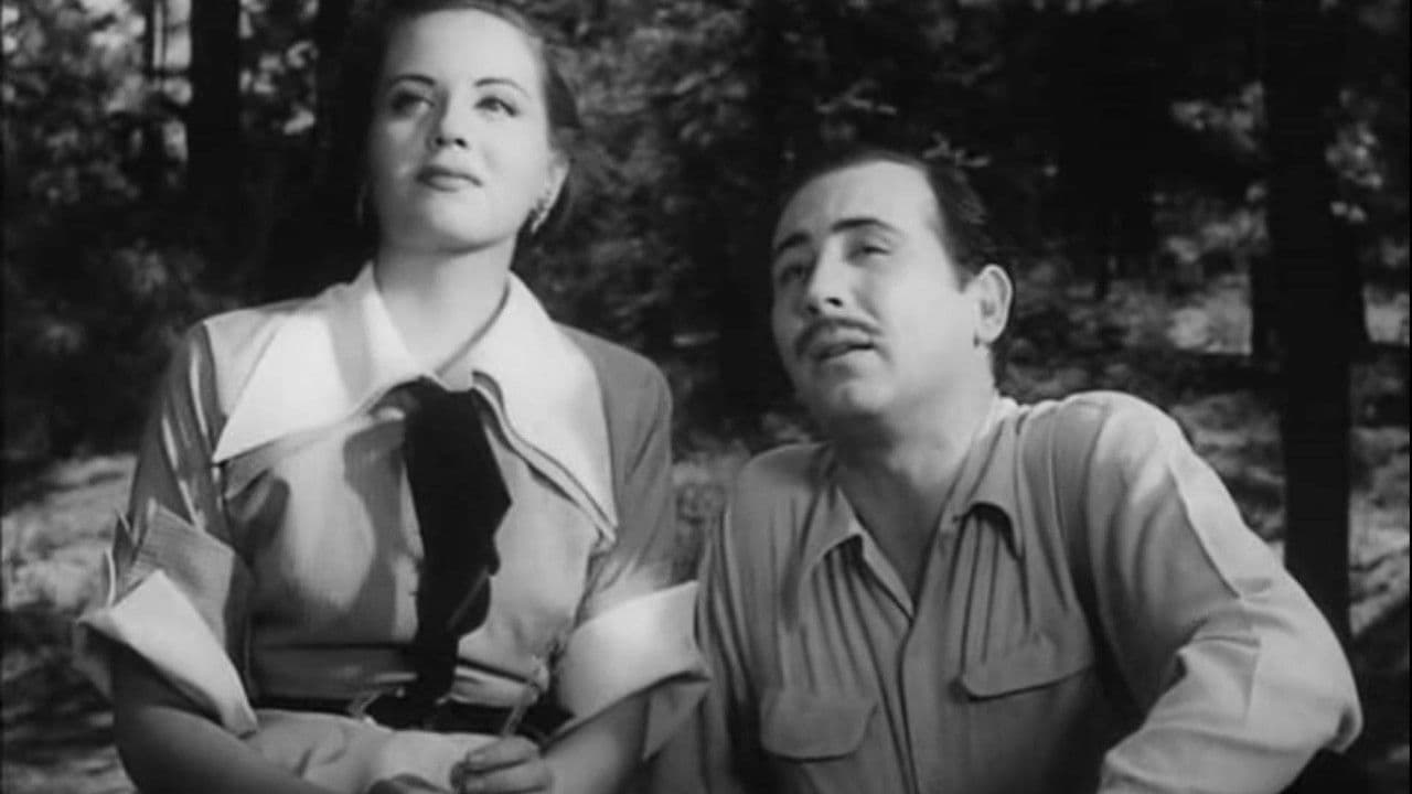 Backdrop – Una mujer sin amor