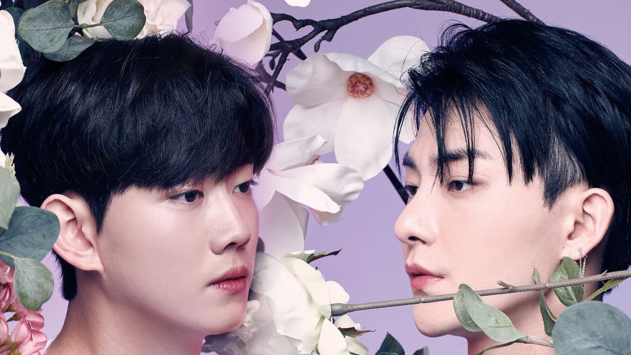 Backdrop – 컬러러쉬 (영화)