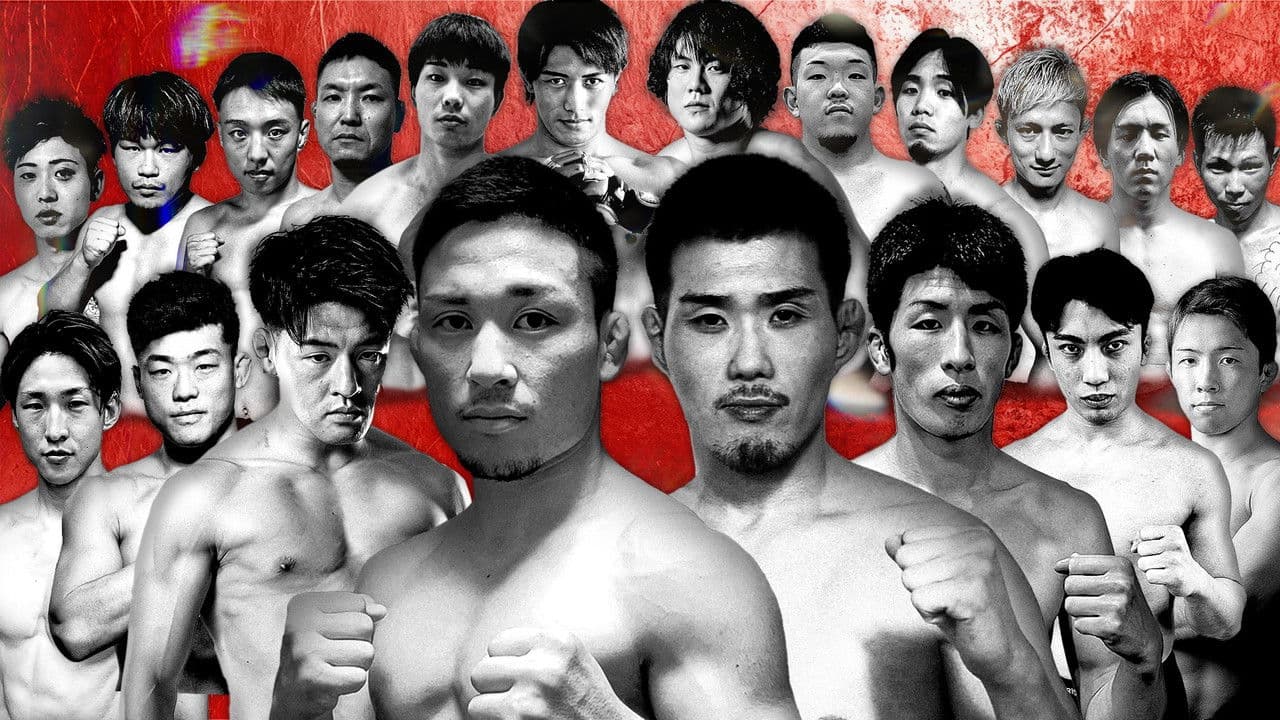 Backdrop – POUNDOUT 2