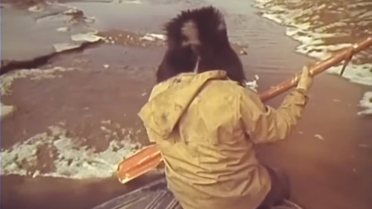 Backdrop – Госпожа Тундра