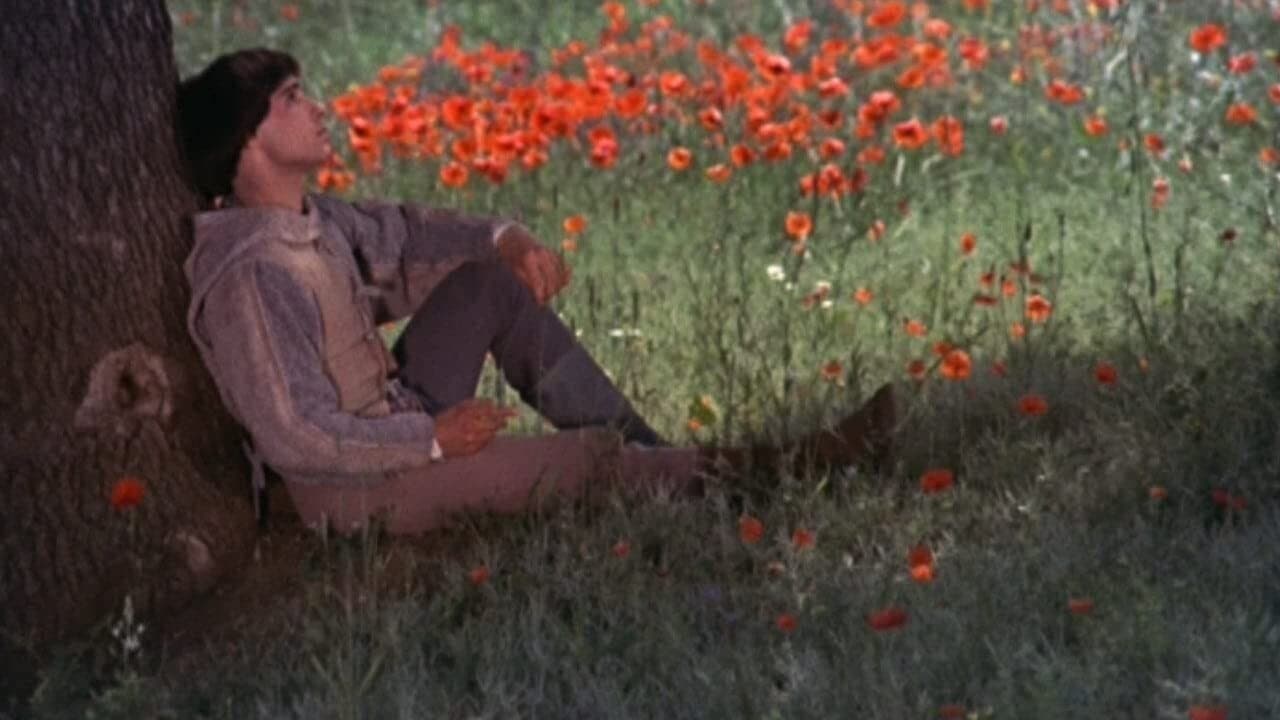 Backdrop – Bruder Sonne, Schwester Mond