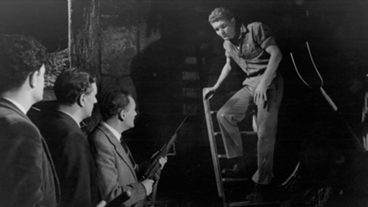 Backdrop – Life in Danger