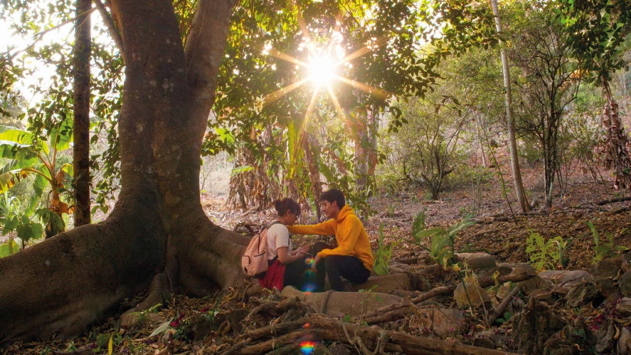 Backdrop – Más Allá de mi Cabeza