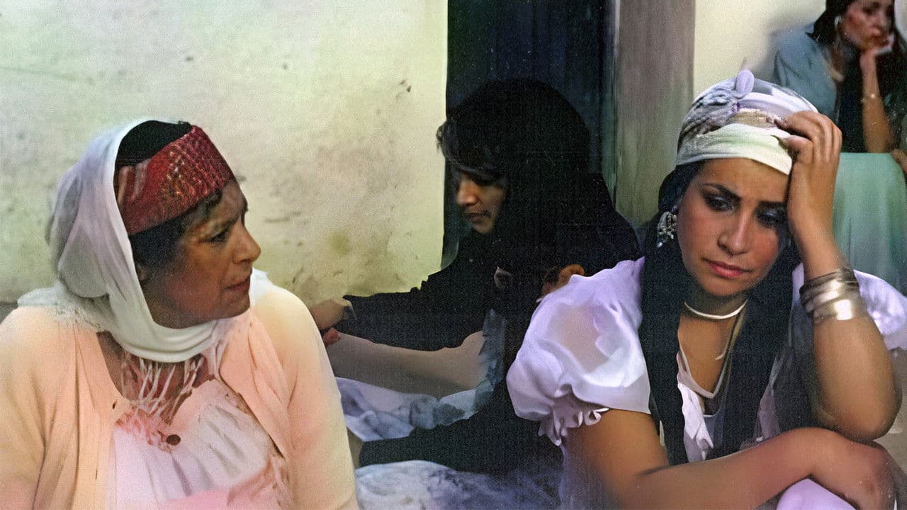 Backdrop – Douar de Femmes