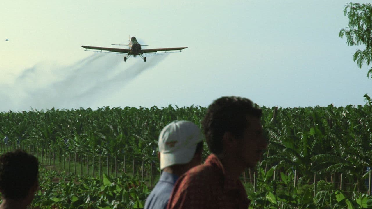 Backdrop – Bananas!*