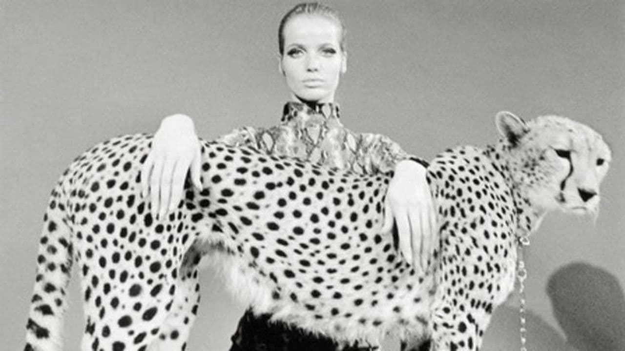 Backdrop – Veruschka - poesia di una donna