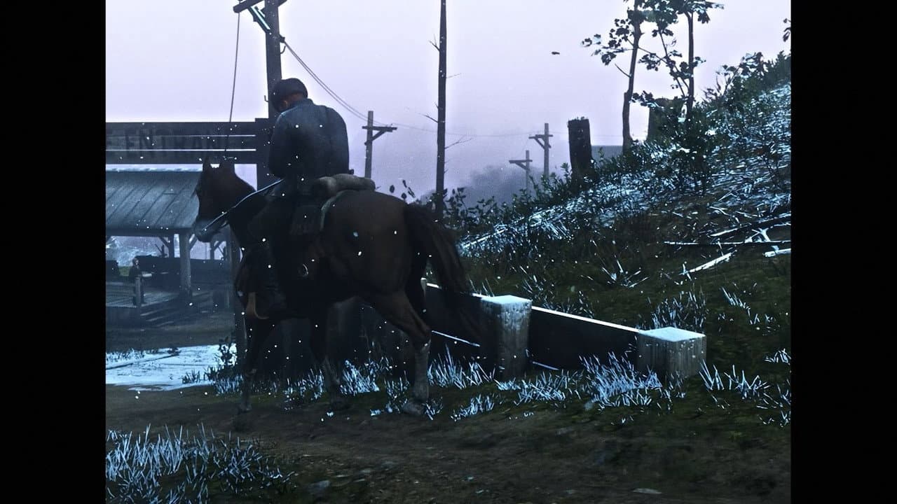 Backdrop – RED DEAD LIBERATION