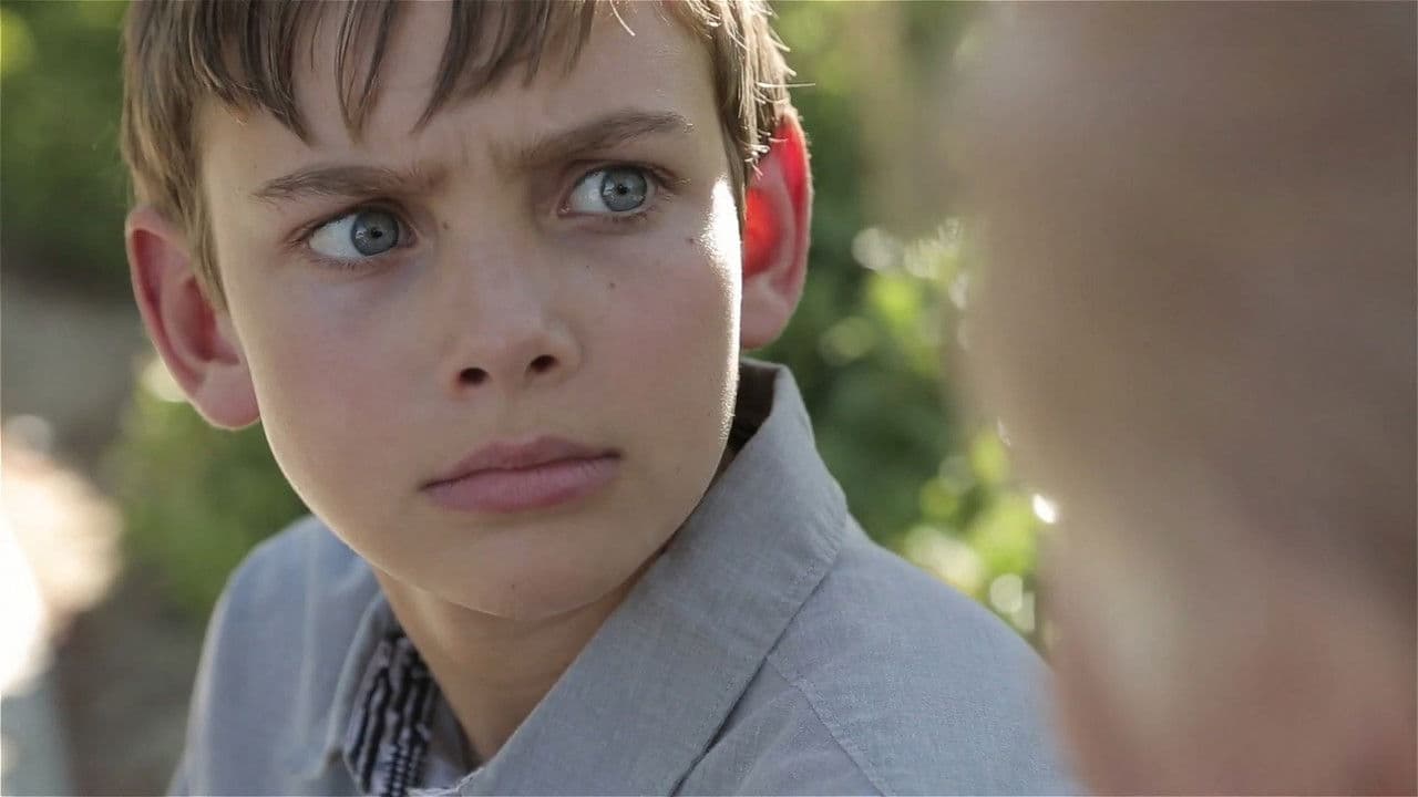 Backdrop – Straight