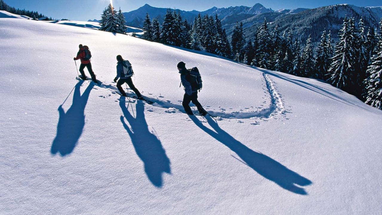 Backdrop – Winter Essentials