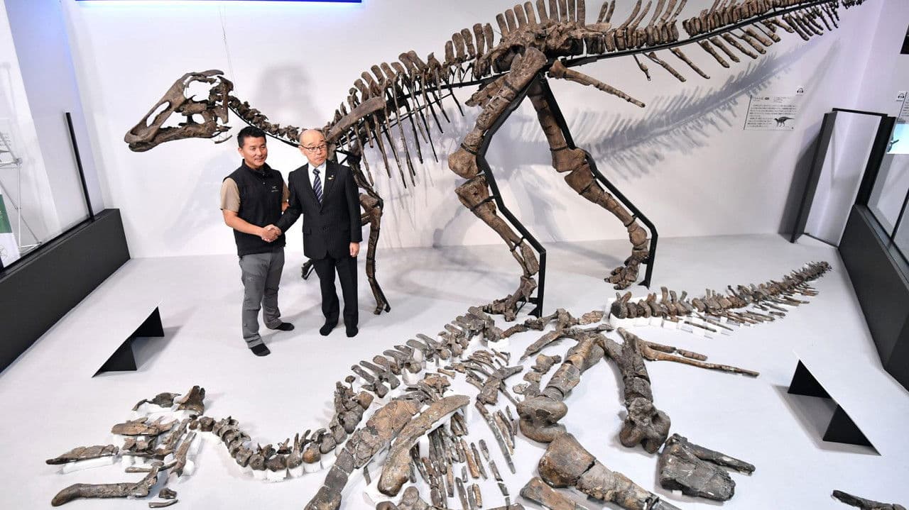 Backdrop – Discovery of the Century — The Great Dinosaur of Japan