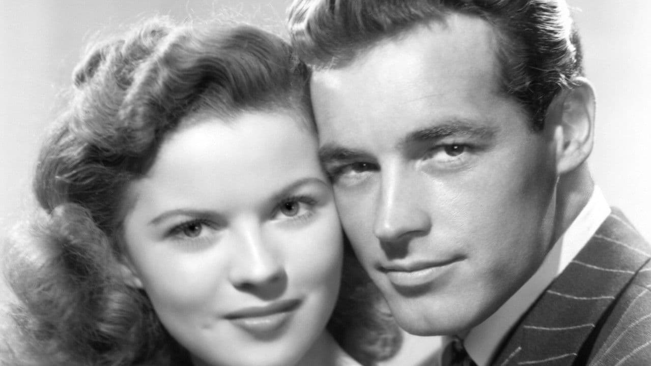 Backdrop – Honeymoon