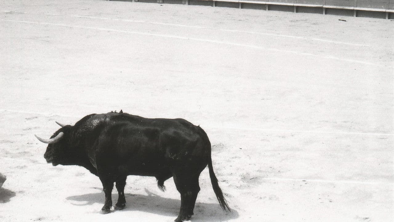 Backdrop – Artémis et la mort