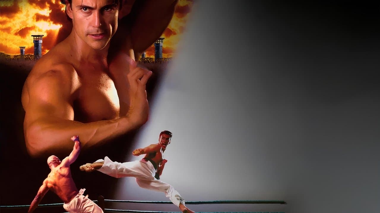 Backdrop – Bloodsport IV - The Dark Kumite