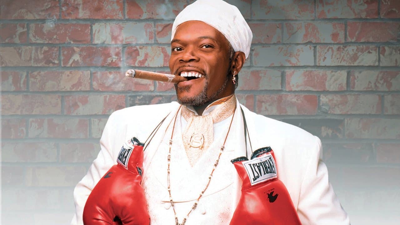 Backdrop – Great white Hype - Eine K.O.mödie