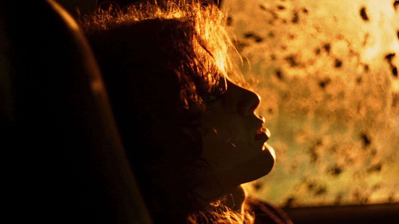 Backdrop – Thanks to the Hard Work of the Elephants