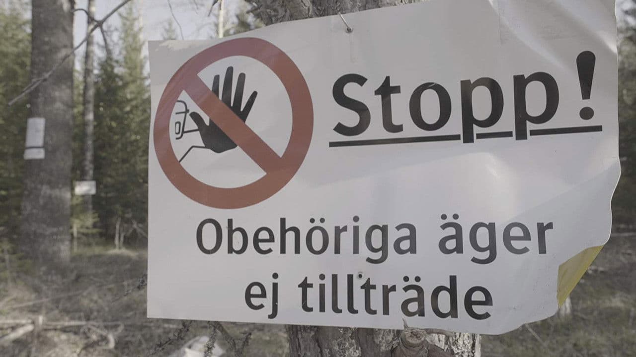 Backdrop – Documenting the Witch Path