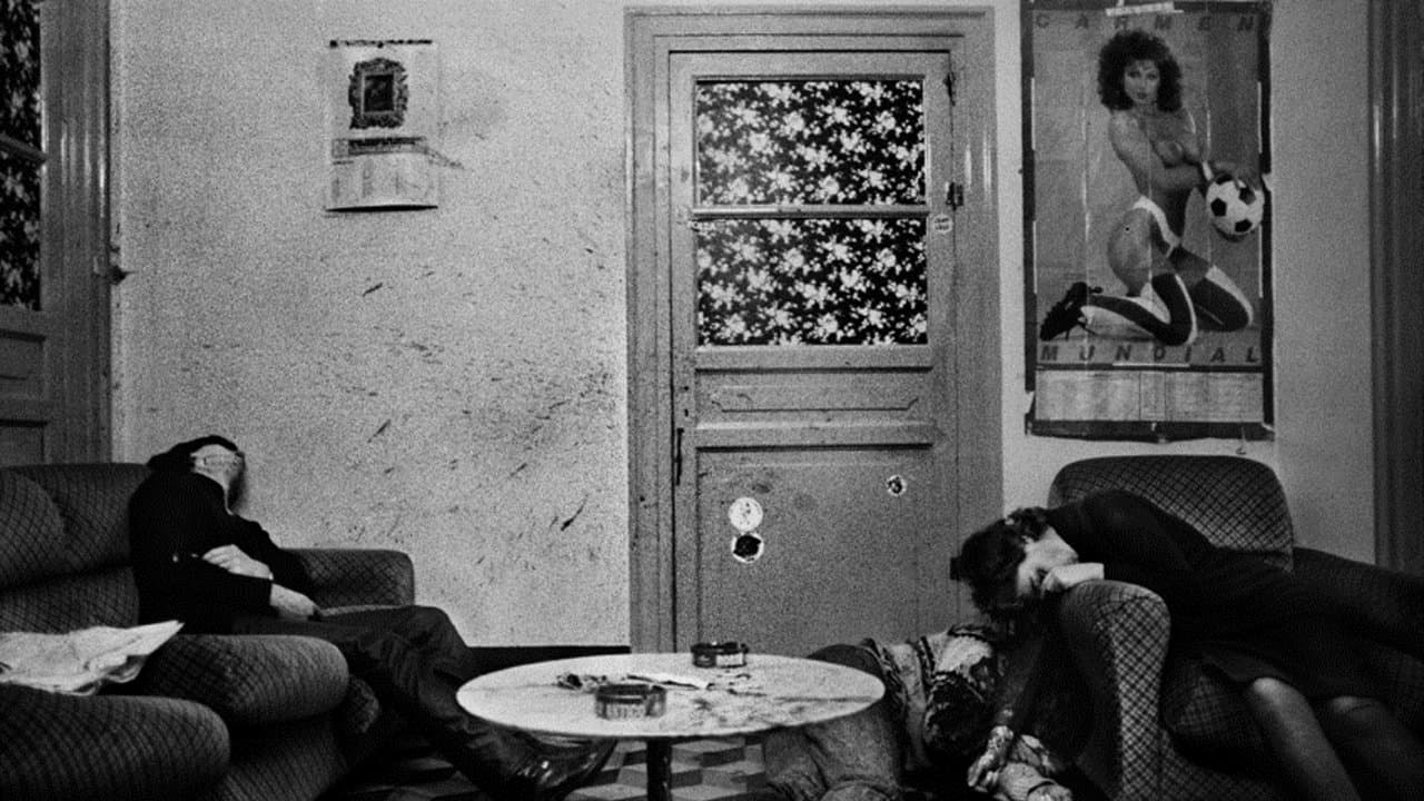 Backdrop – Shooting the Mafia