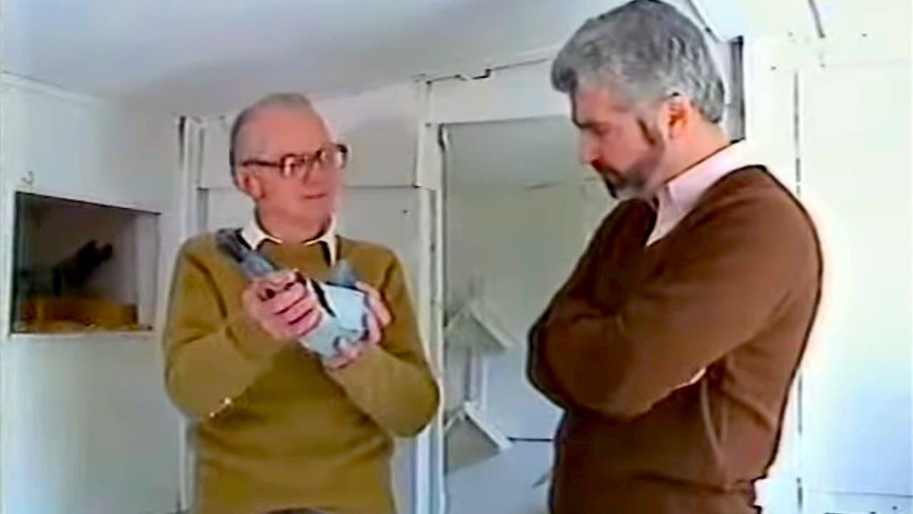 Backdrop – The Doos