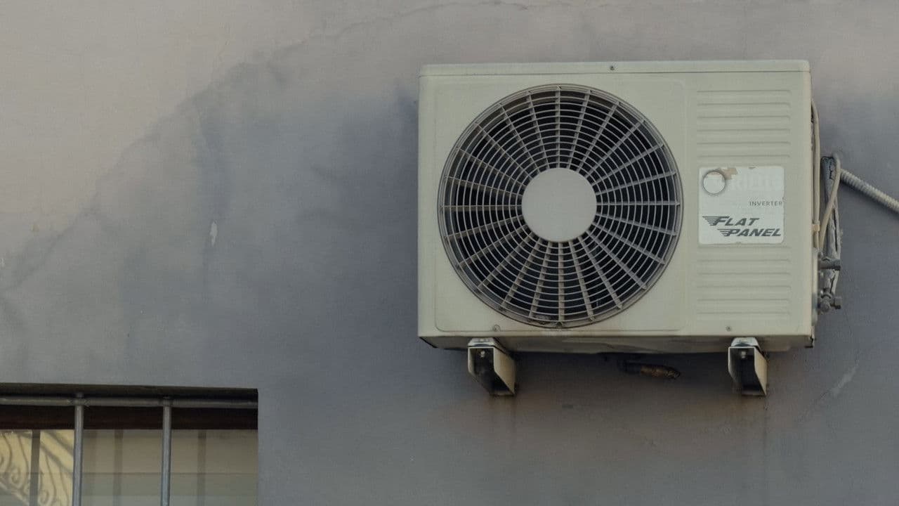 Backdrop – SOME COLORS