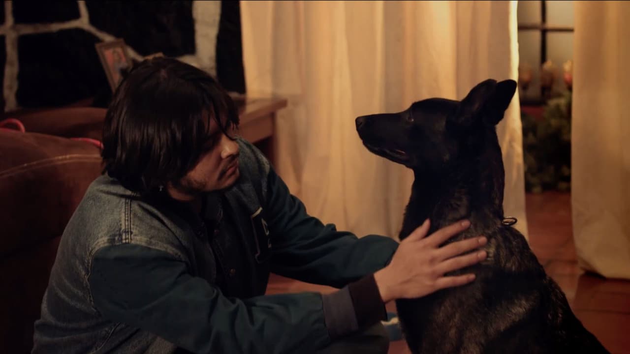 Backdrop – Se Busca