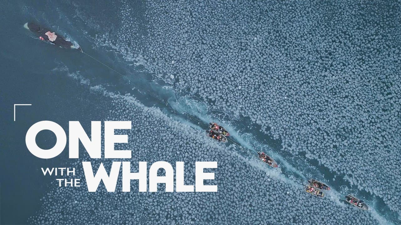 Backdrop – One with the Whale