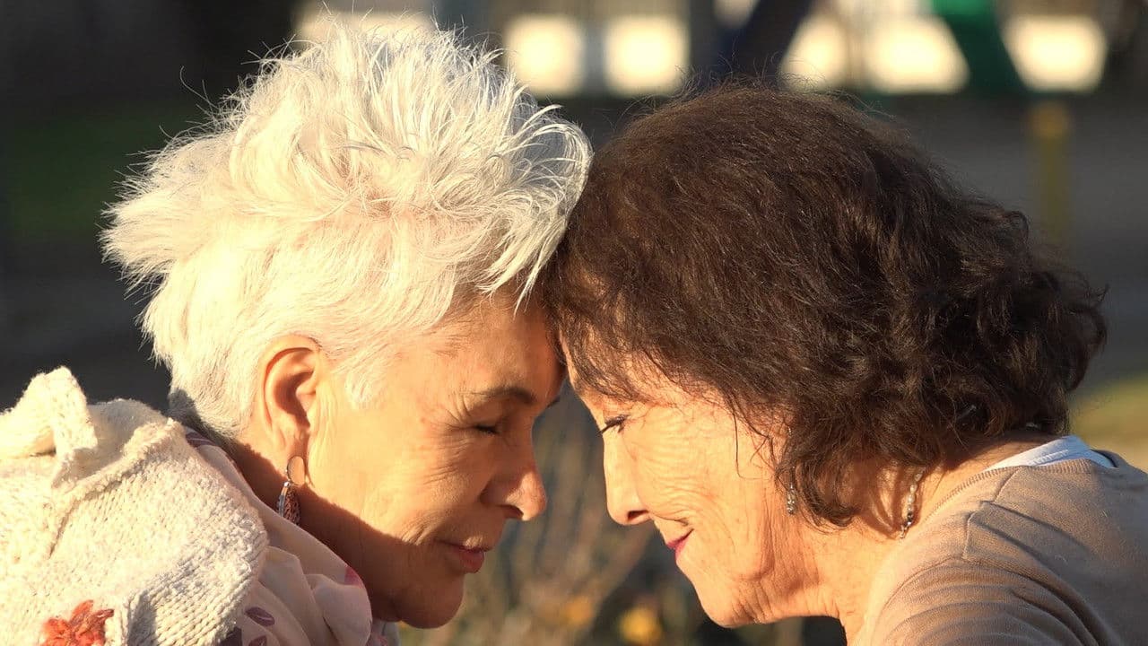 Backdrop – Margaritas en otoño