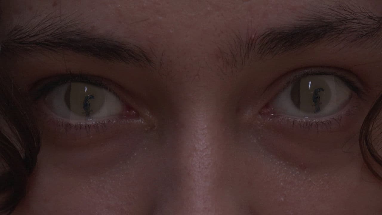 Backdrop – Fantasm'a gogo