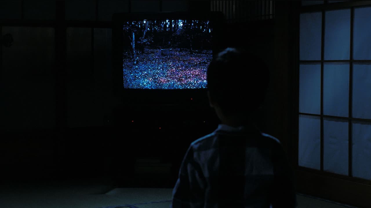 Backdrop – Ring - Das Original