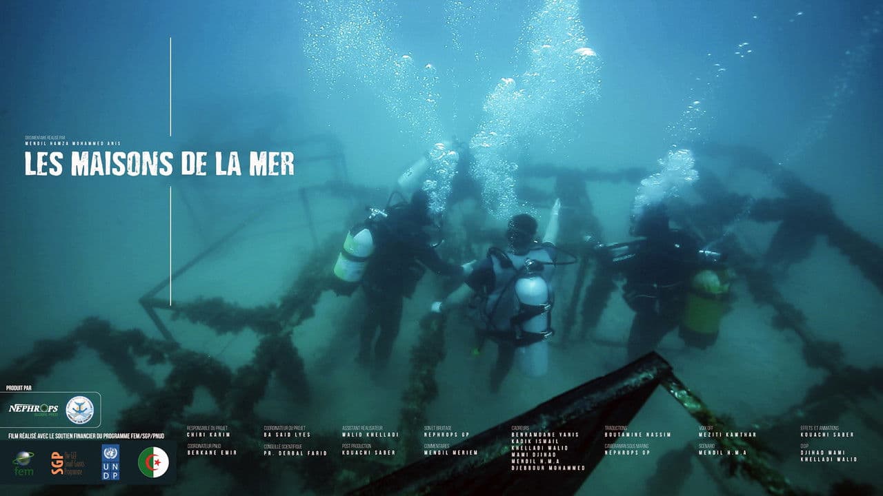 Backdrop – Les Maisons De La Mer