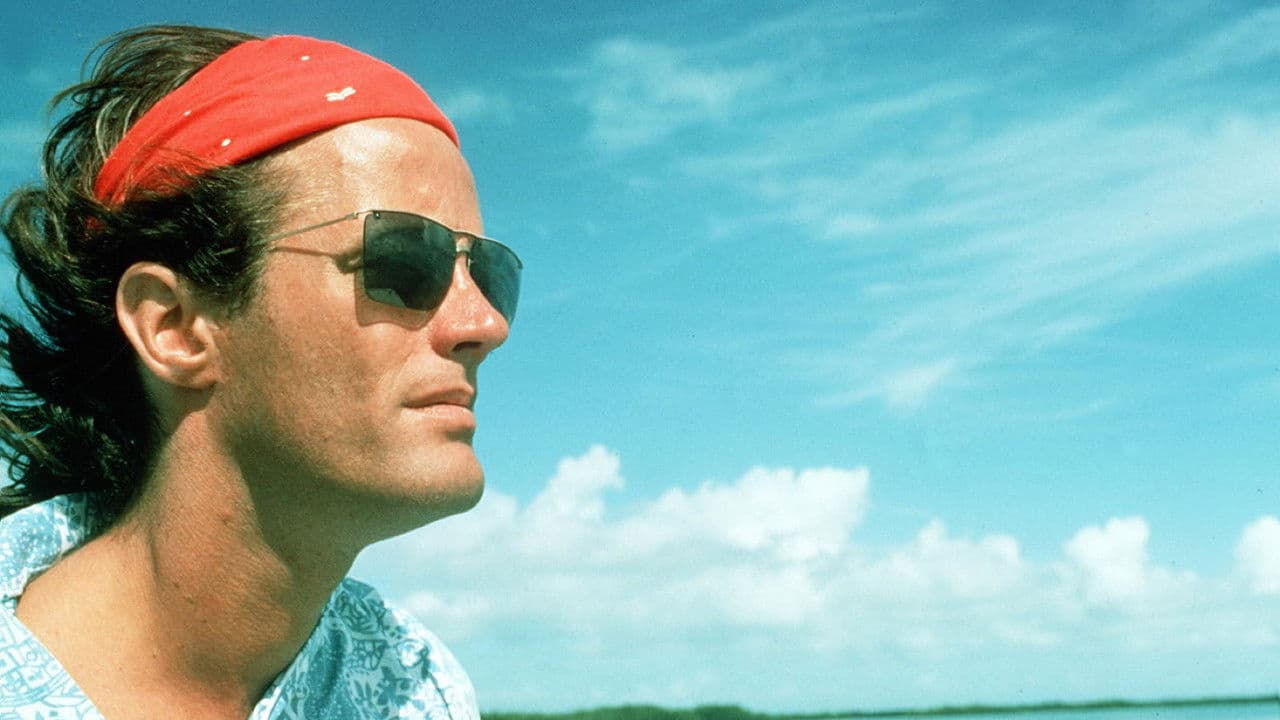 Backdrop – 33 Grad im Schatten