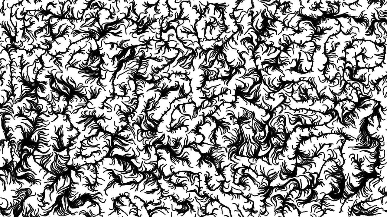 Backdrop – Verrückt