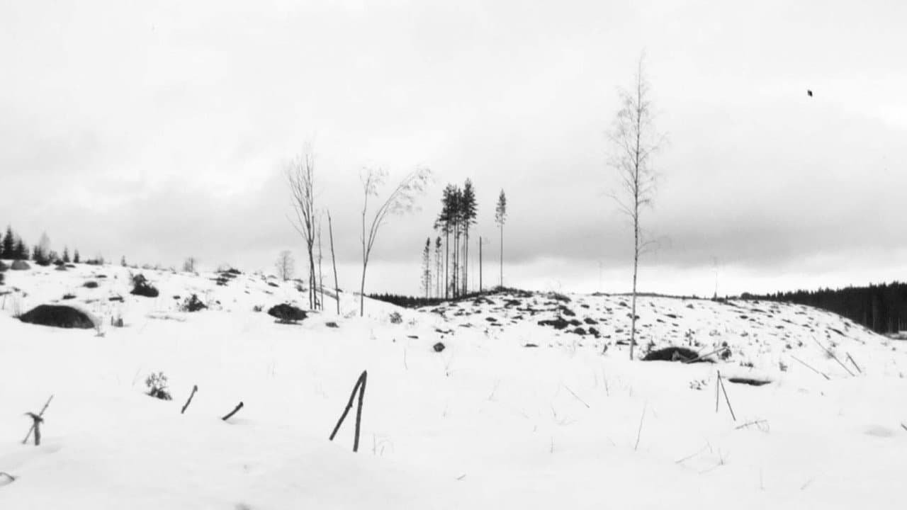 Backdrop – Winterreise