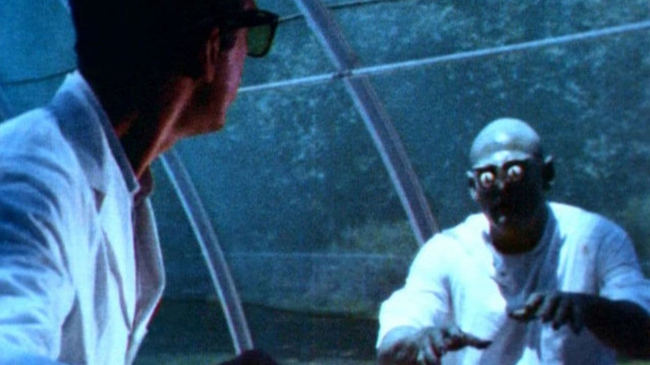 Backdrop – Curse of the Swamp Creature