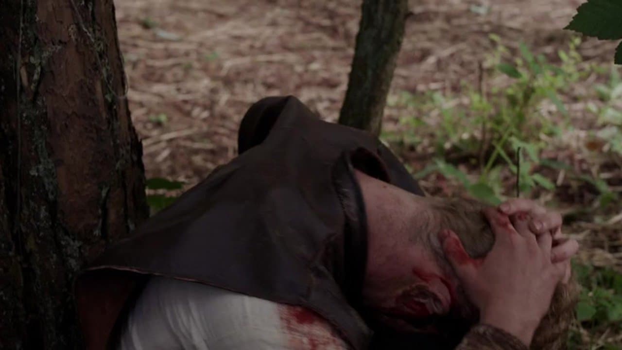 Backdrop – The Lost Viking