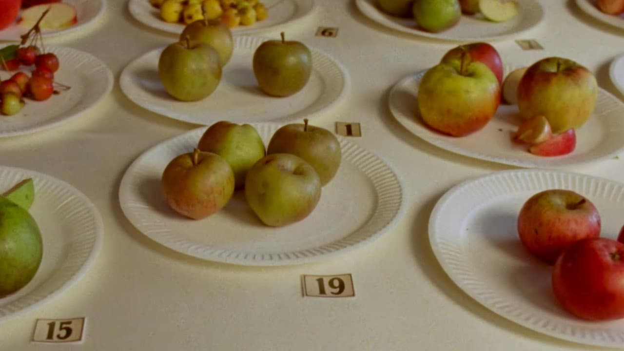 Backdrop – Some Interesting Apples