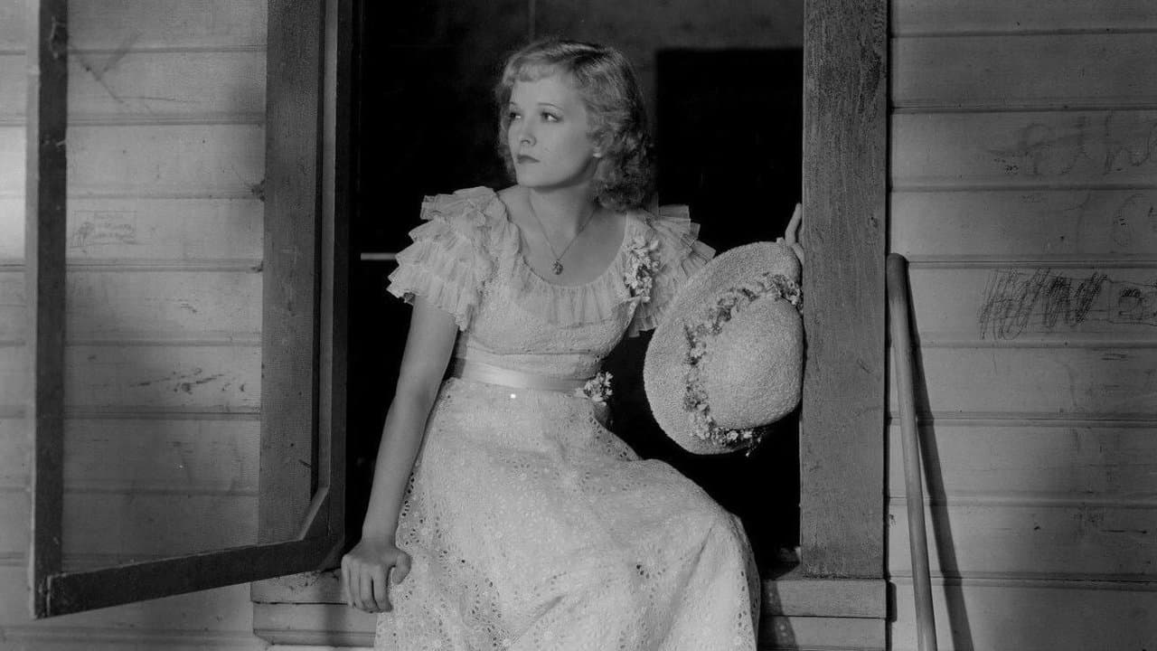 Backdrop – Face in the Sky