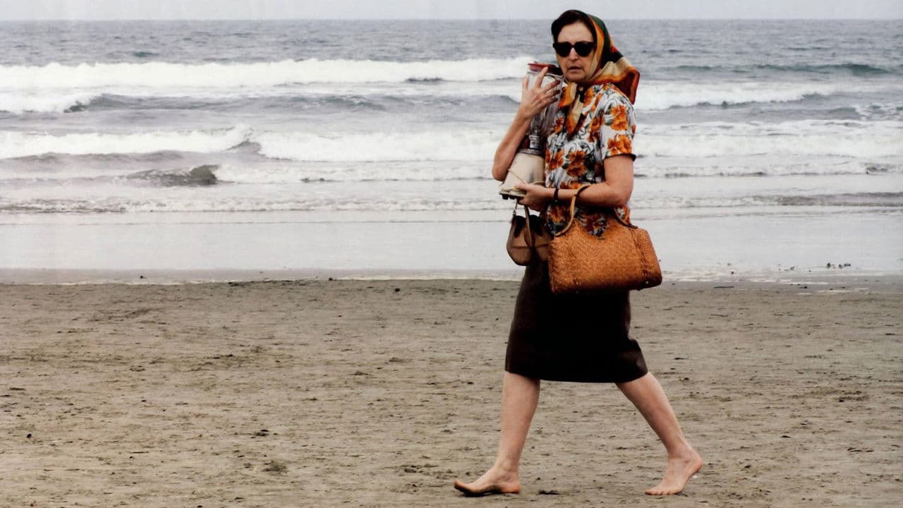 Backdrop – Reflexões de um Liquidificador