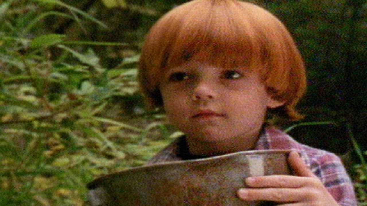 Backdrop – A Boy, a Dog, and a Frog