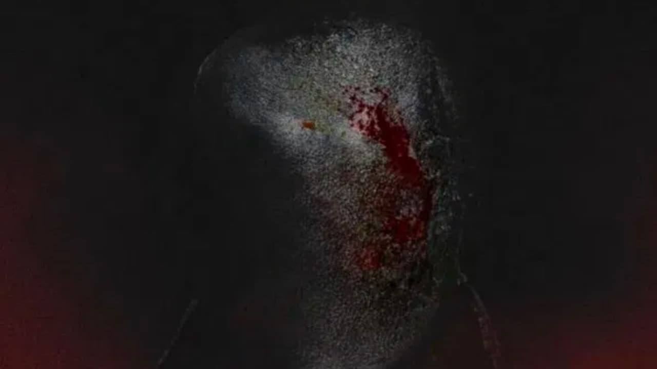 Backdrop – Тайна Слендермена: Новый Кошмар